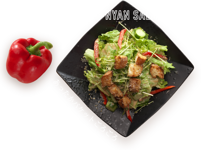 MO-NYAN SALAD