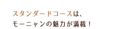 スタンダードコース